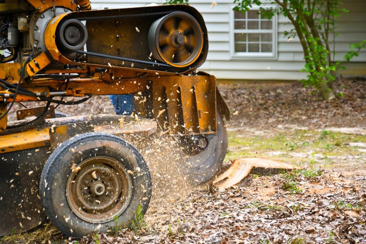 Stump Grinding