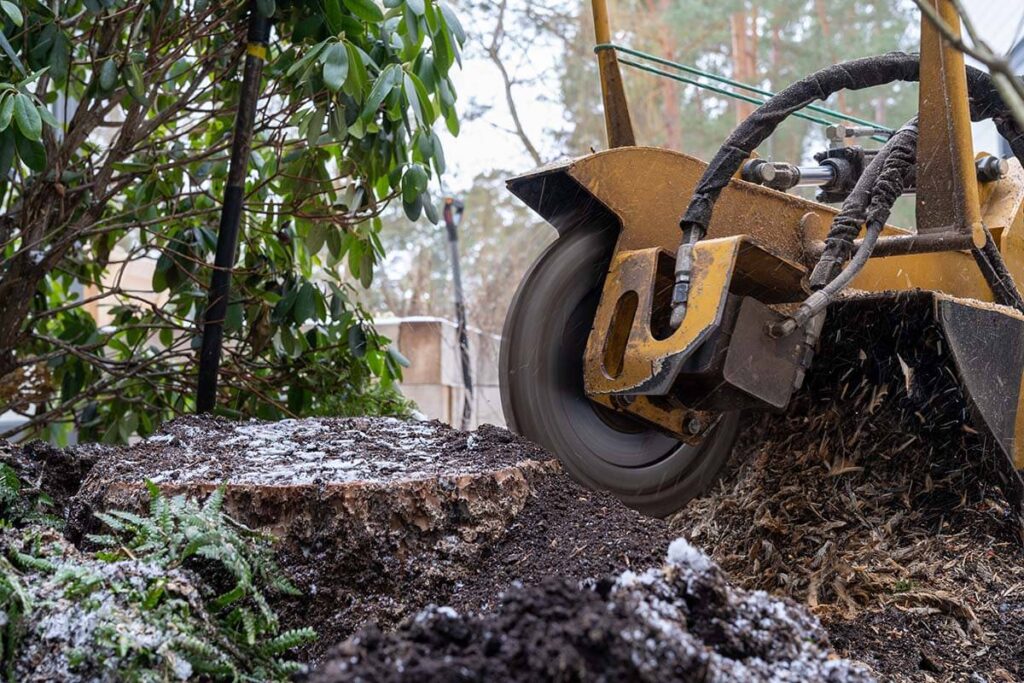 Stump Grinding