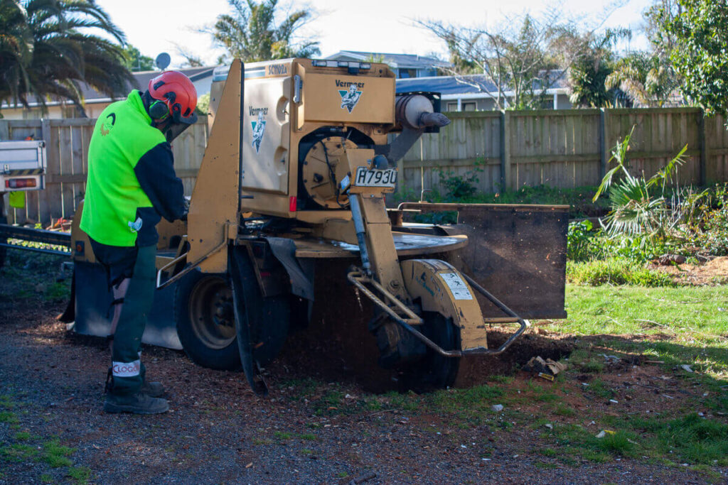 Stump Grinding