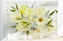 Neutral Bay Florist: A Practical Local Guide to Flowers in 2089